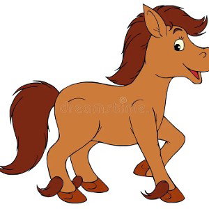 mc poney 