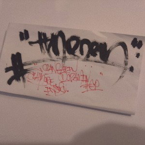 Freestyle 3 