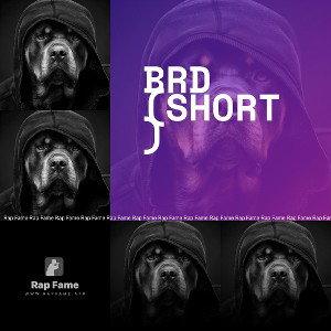 brd (short)