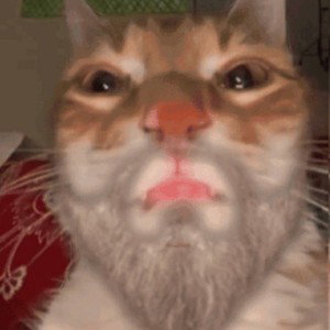 🔥JayStarMEOW(JaystarmillerDiss)🔥