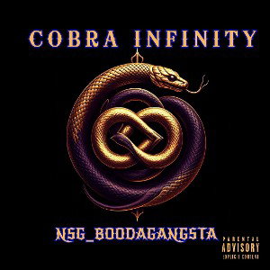 Cobra 🐍 infinity 