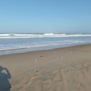 sur des plage 