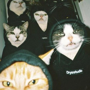 So Stylish 