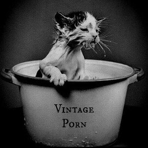 Sin Kitty Monroe