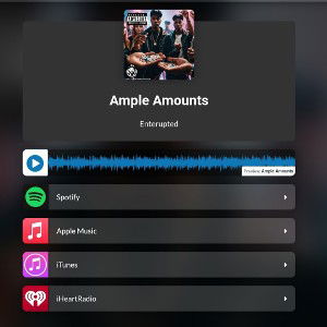Ample Amounts 