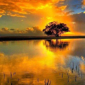 Relationship with the Lord 