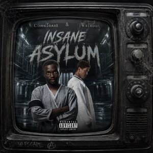 Insane Asylum 