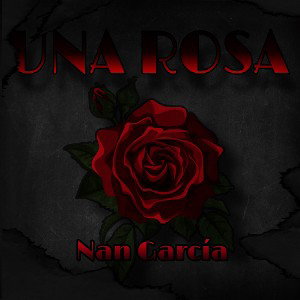 Una rosa
