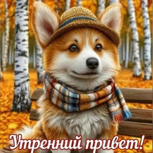 Чувак