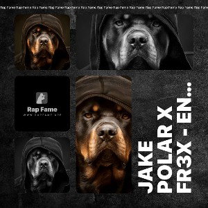 Jake polar x fr3x - energy 