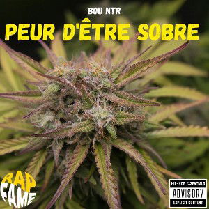 Peur d'être sobre