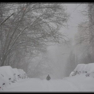 the cold wind blows