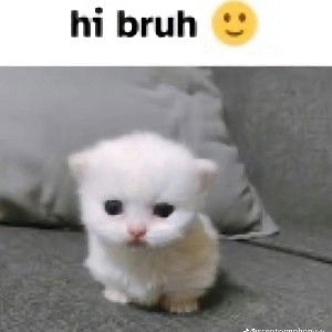 hi bruh🙂