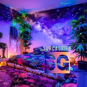 Dacmar 👽 - one 