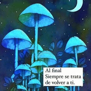 Naturaleza despierta 
