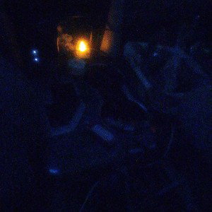 TheyWont- dcCAlified 