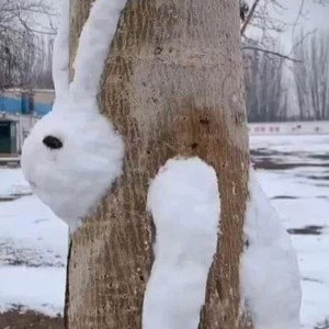 TIDO -  NO BUNNY 