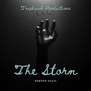 The storm