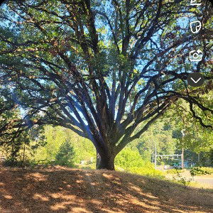 Spiritual perspectivites 