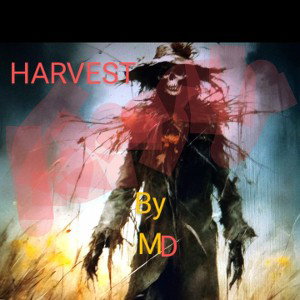 Harvest Freestyle 