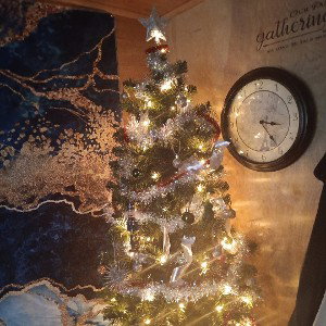 Merry christmas 🖕