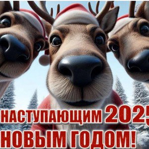 где мои подарки дед? 