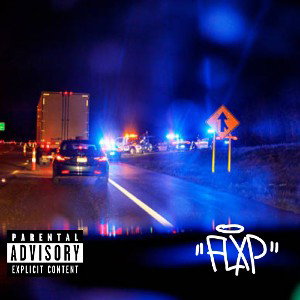 FLXP - Amplifikacja 
