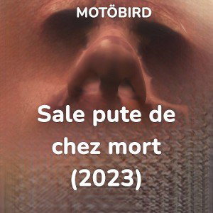 Sale pute de chez mort(+ bruitages de clip)