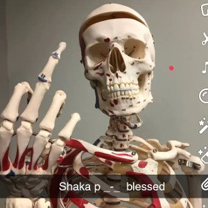 Shaka p _-_ blessed 