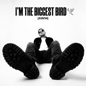 I'm the biggest bird 🕊️