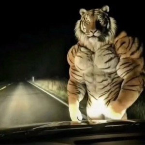 Beast