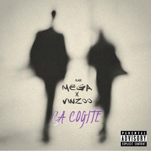 Ça Cogite 