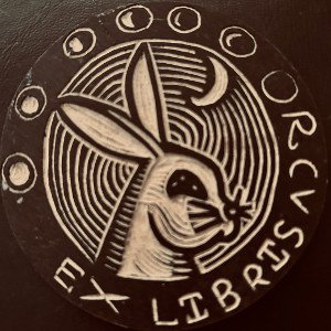 introduting: 3 thousand Rabbits