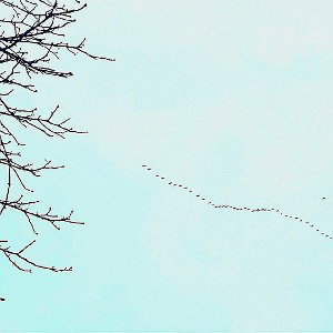 Wolkenkuckucksland Vol.I - Heads Up in The Skies