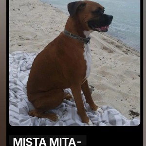 MISTA MITA-JAXX HE LIGHTS MY WORLD UP