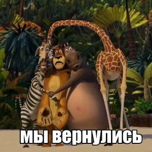 капсула времен