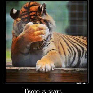#SOULinc.  потерянный. 