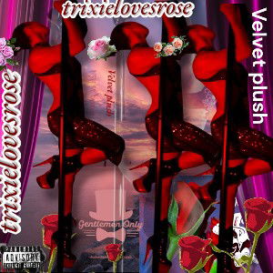 Velvet plush 🌹 