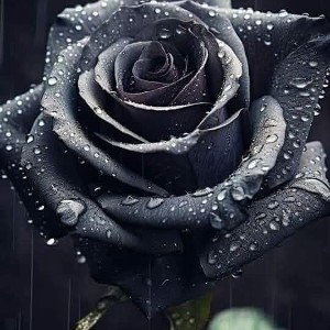 As flores de um monstro 