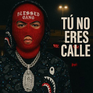 TU NO ERES CALLE 