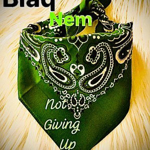 Not Giving Up 