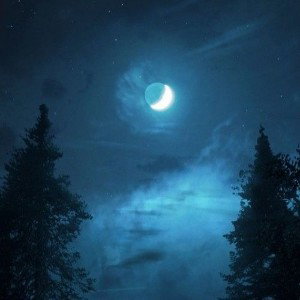 Что не хватает (я не понимаю)