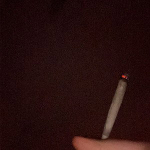 shizoo