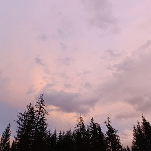 Риски