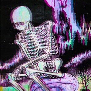 𝕸𝖞 𝕯𝖊𝖈𝖎𝖘𝖎𝖔𝖓