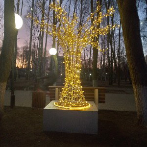 В сердце