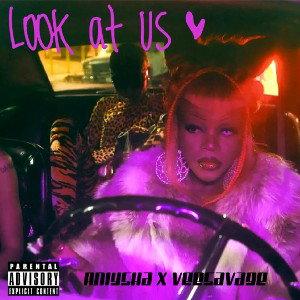 Look at Us (Aniysha ft VeeSavage) 