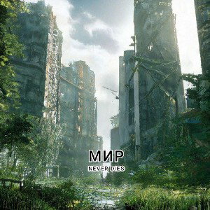МИР