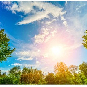 A New Day by Lilynia and Florisa 