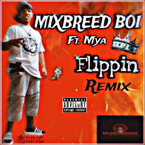 Flippin ( Ft. Mya ) 